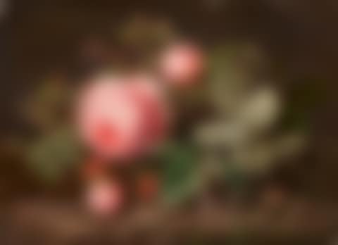 Pink roses and a butterfly (preview)