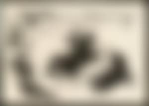 Picador (preview)