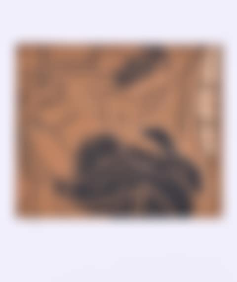Female nude (preview)