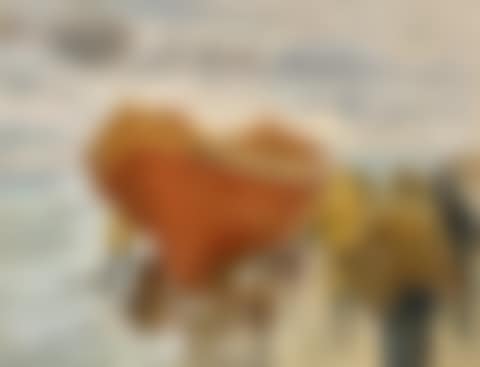 Rough weather. The lifeboat is put into the water (preview)