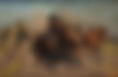 On the desert II. (preview)