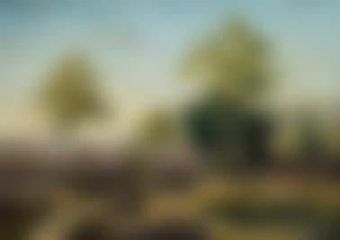 Meadow in summer (preview)