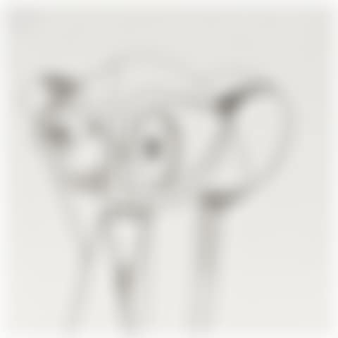Untitled (preview)