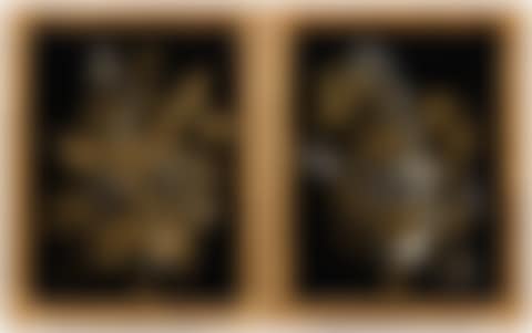 Paire de panneaux (preview)