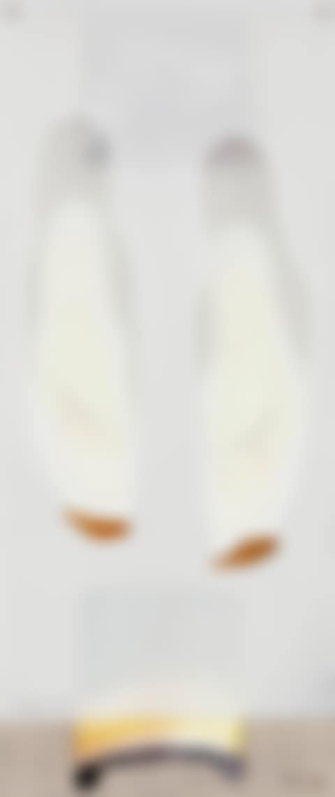 Tiptoe (preview)