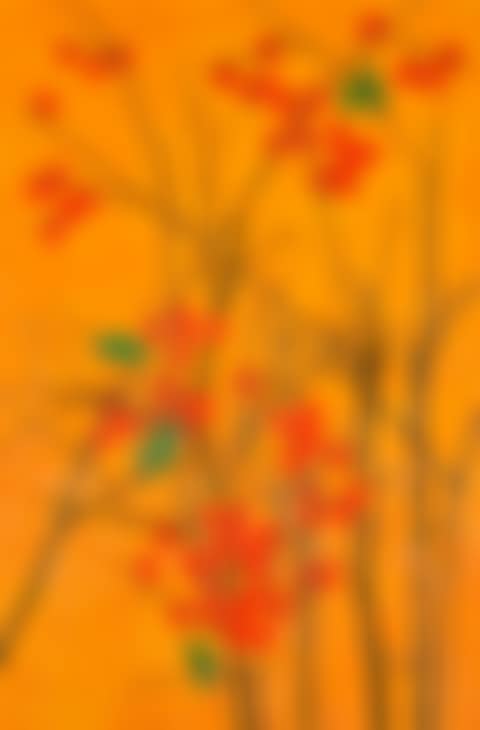 Persimmons (preview)