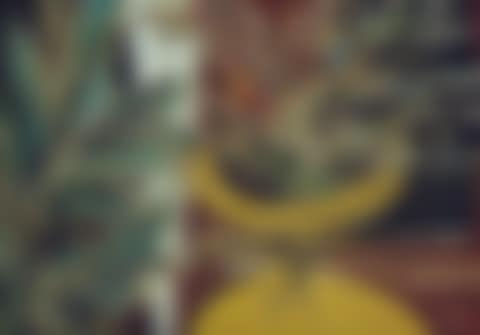 Untitled (Still Life) (preview)