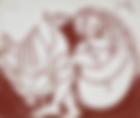 Untitled (Leda and the Swan) (preview)