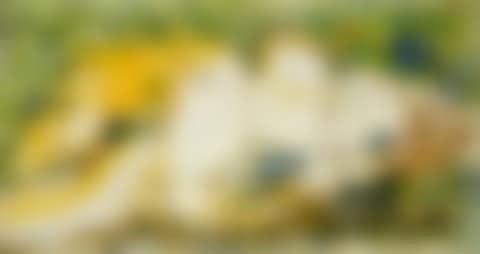 Untitled (Reclining Nude) (preview)