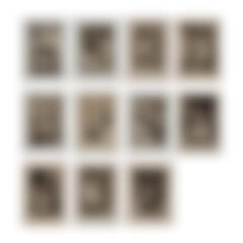 Les Caprices (preview)