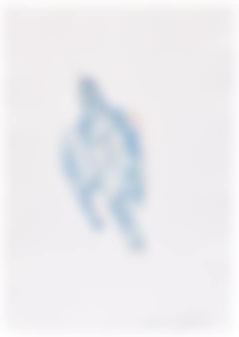 Spring Bird (preview)