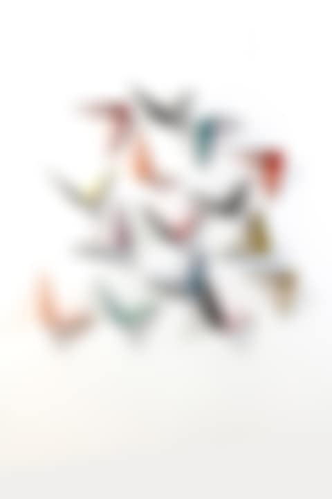 Set of fourteen shelves "Butterfly" Model (preview)