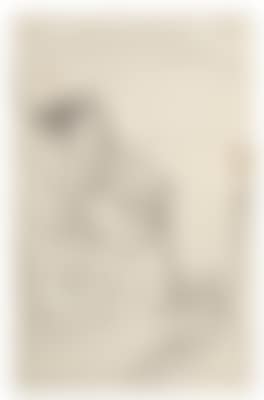 Treptow (preview)