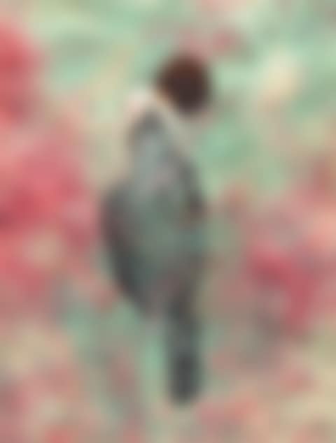 Untitled (preview)