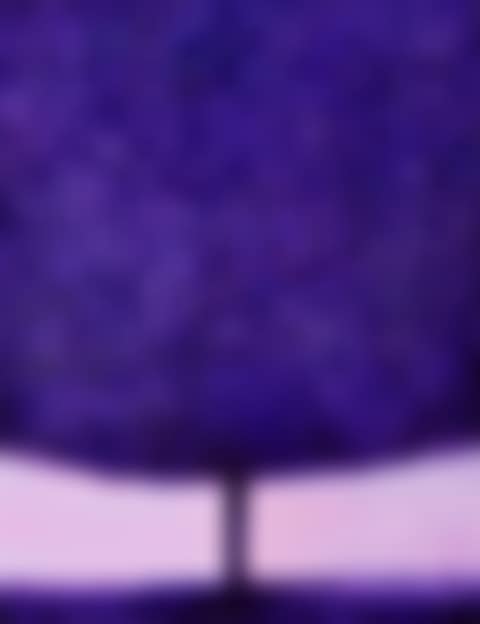 Nocturne (preview)