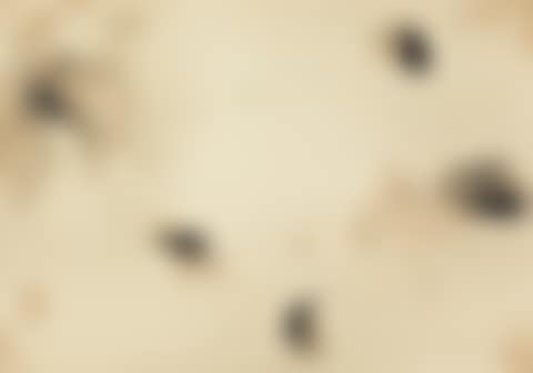 With Winds (preview)