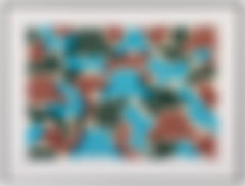 CAMO XL-4C-M3 (preview)