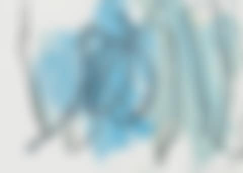 The Method of Drawing (preview)