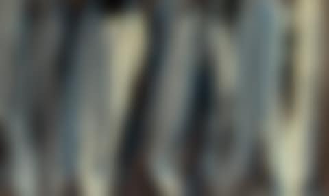 Bodyscape 76-1-2019 (preview)