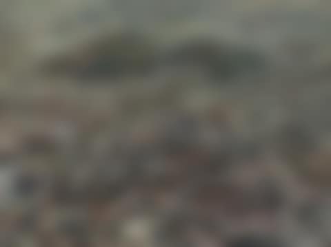 Seoul (preview)