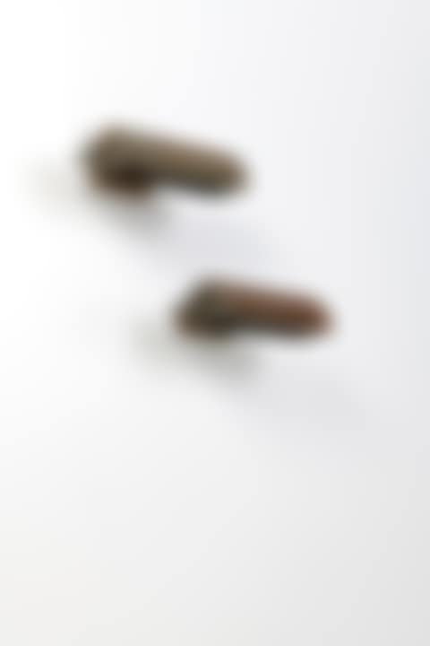Pair of sconces, model LC III (preview)