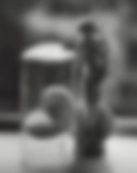 Venus, New York (preview)