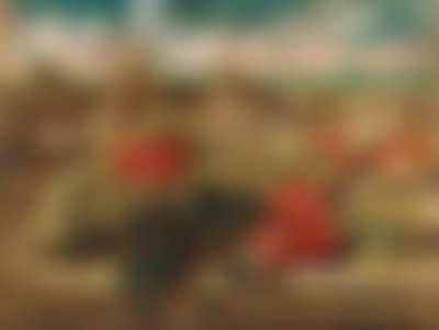 Uva e pomodori (preview)