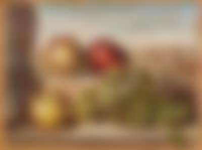 Vita silente (preview)