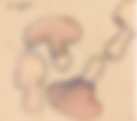 Mushrooms (preview)