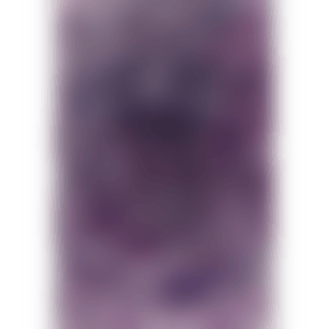 Chip (preview)