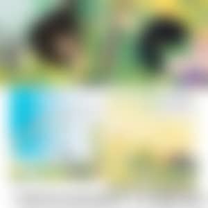 1. Buildinghead: Chameleon／2. Buildinghead: Palm trees／3. Sky／4. Yuyake chan Miss Sunset (preview)