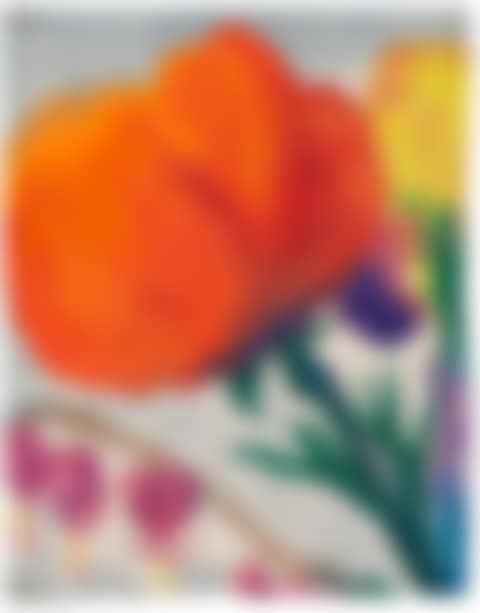Mohn und Tränendes Herz (preview)