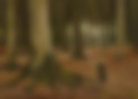Meisje in het bosch (A Girl in a Wood) (preview)