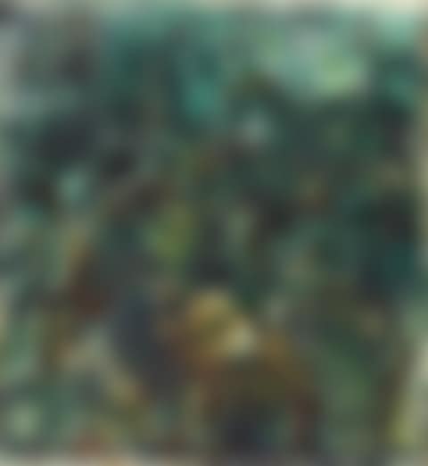 Jungle (preview)