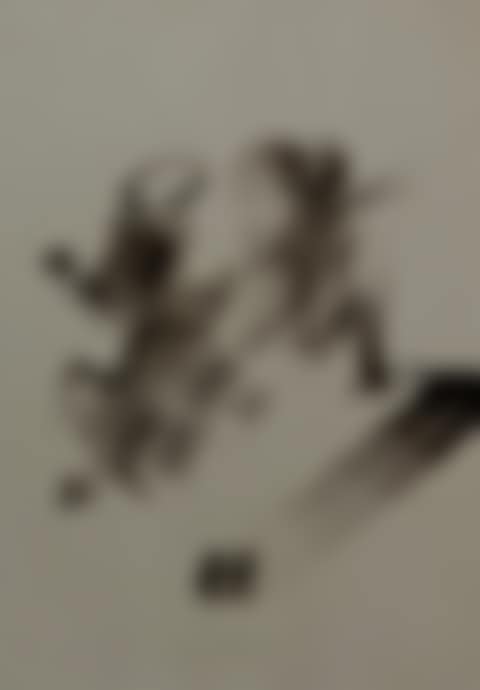 Untitled (preview)