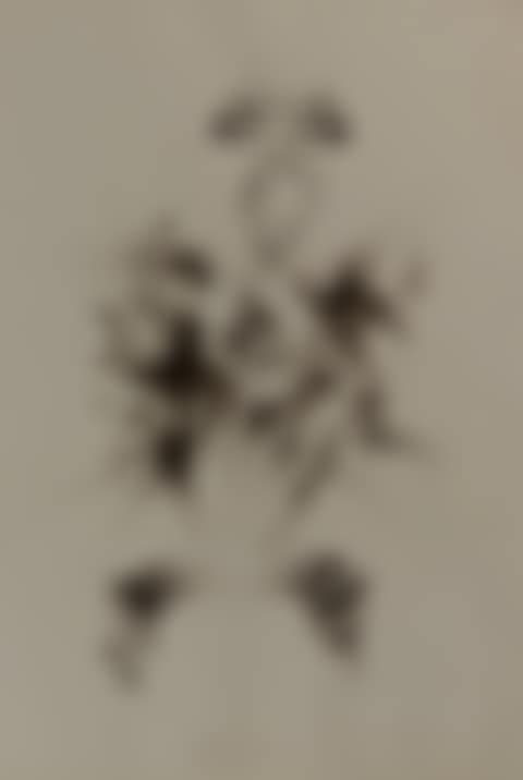 Untitled (Surrealist scene) (preview)
