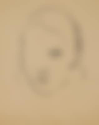 Portrait of a Single-Eyed Lady (preview)
