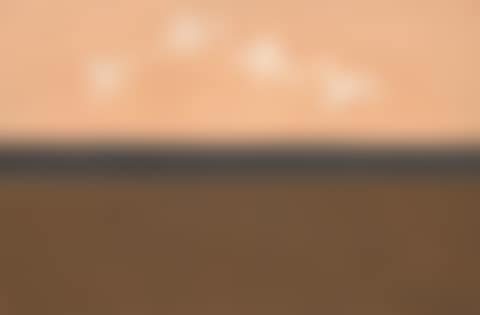 Soaring Gulls (preview)
