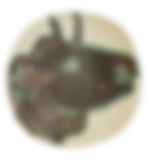 Profil de taureau (preview)