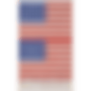 TWO FLAGS (WHITNEY ANNIVERSARY) (preview)