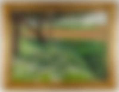 Landschaft (preview)