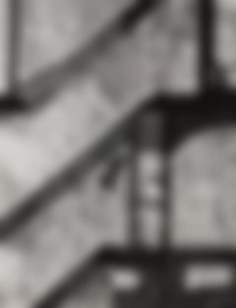 Landing Pigeon, New York (preview)