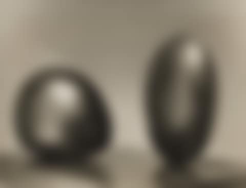 Untitled (Two Forms) (preview)
