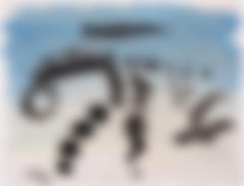 Le sang du cormoran (preview)