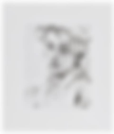 Michelangelo (preview)