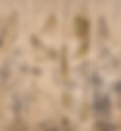 Landscape after Ancient Masters (preview)