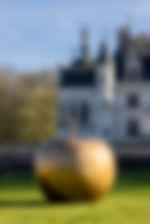 "Pomme de New York" (preview)
