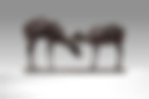 Petites Antilopes goudou ou Koudou "deux amis" (preview)