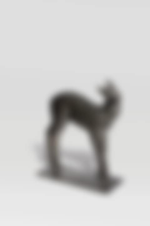 Petit Faon axis (preview)