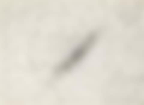 Insect Slant (Ants) (from Reality & Paradoxes) (preview)